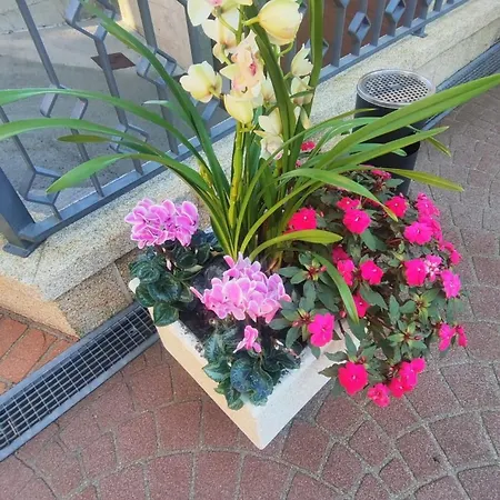 ホテル Marouco 2*